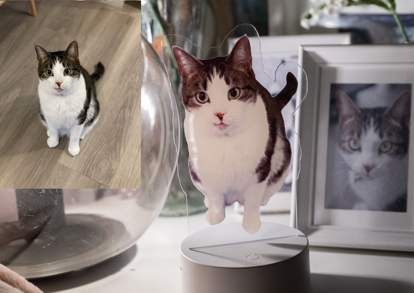 Custom LED Cat Dog Lamp, Personalized 3D Pet Night Light, Pet Cat Night Light, Pet Memorial Lamp