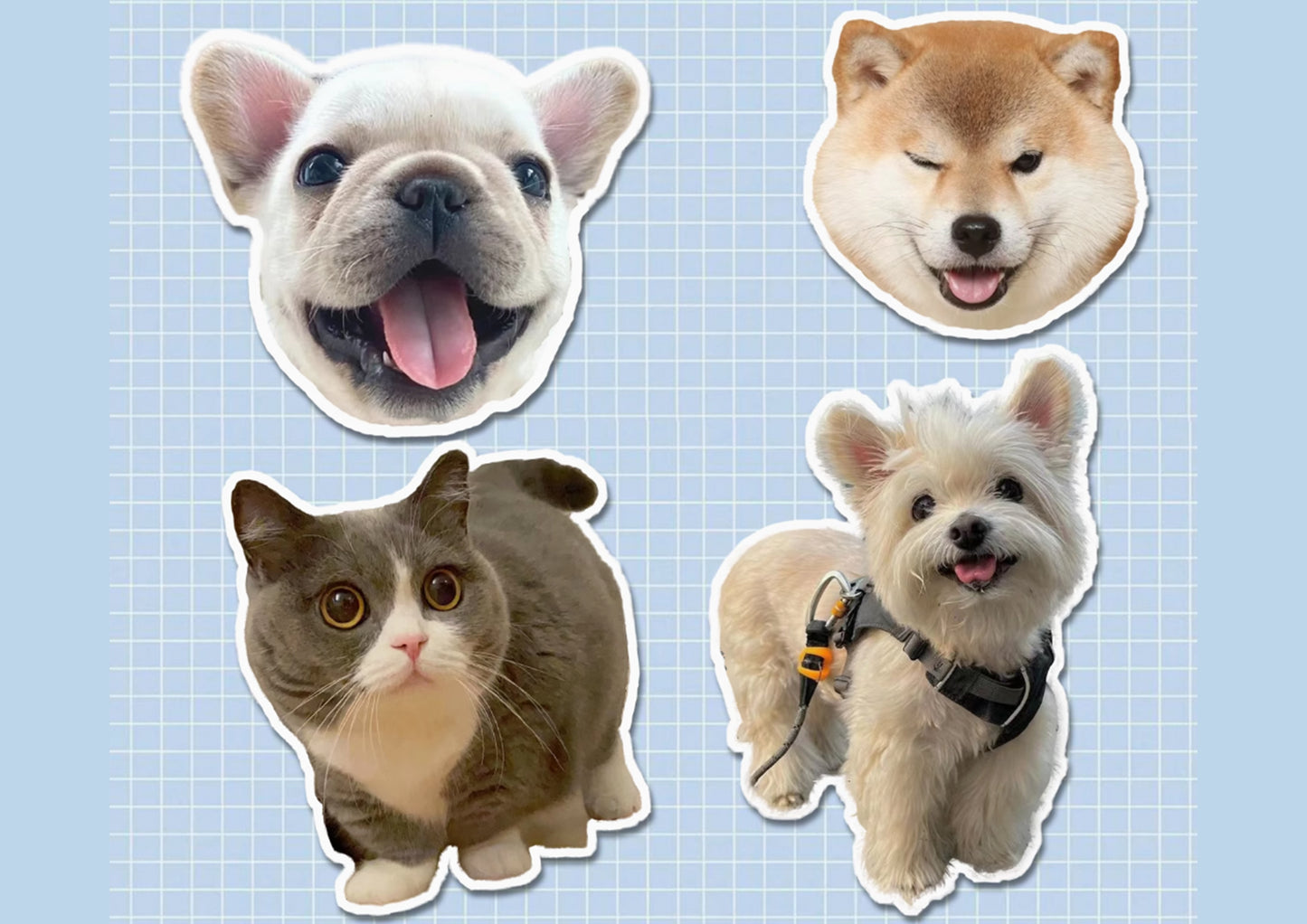 Custom Stickers, Custom Irregular-Shaped Stickers, DIY Stickers, Personalised Pet Stickers