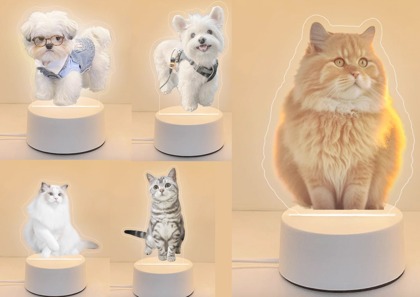 Custom LED Cat Dog Lamp, Personalized 3D Pet Night Light, Pet Cat Night Light, Pet Memorial Lamp