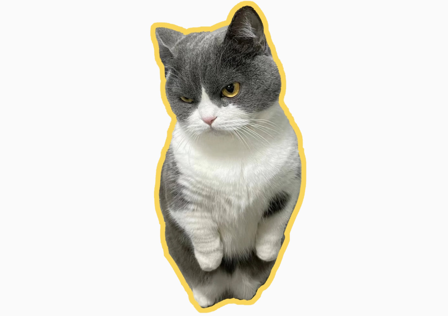 Custom Stickers, Custom Irregular-Shaped Stickers, DIY Stickers, Personalised Pet Stickers