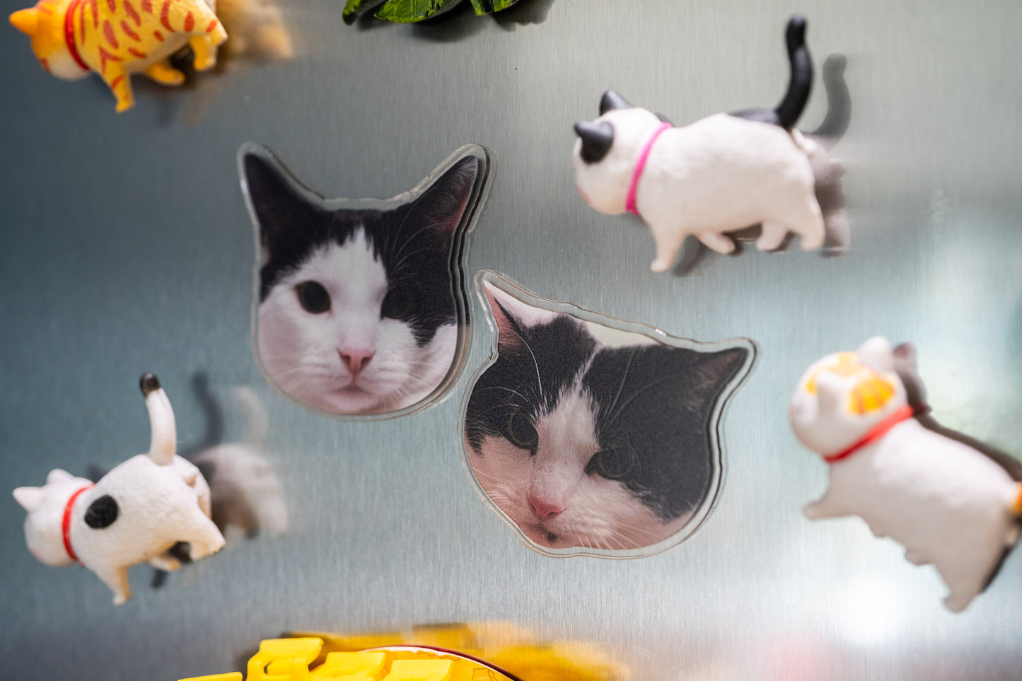 Personalised Photo Fridge Magnets, Custom Acrylic Fridge Magnets, Housewarming Gift