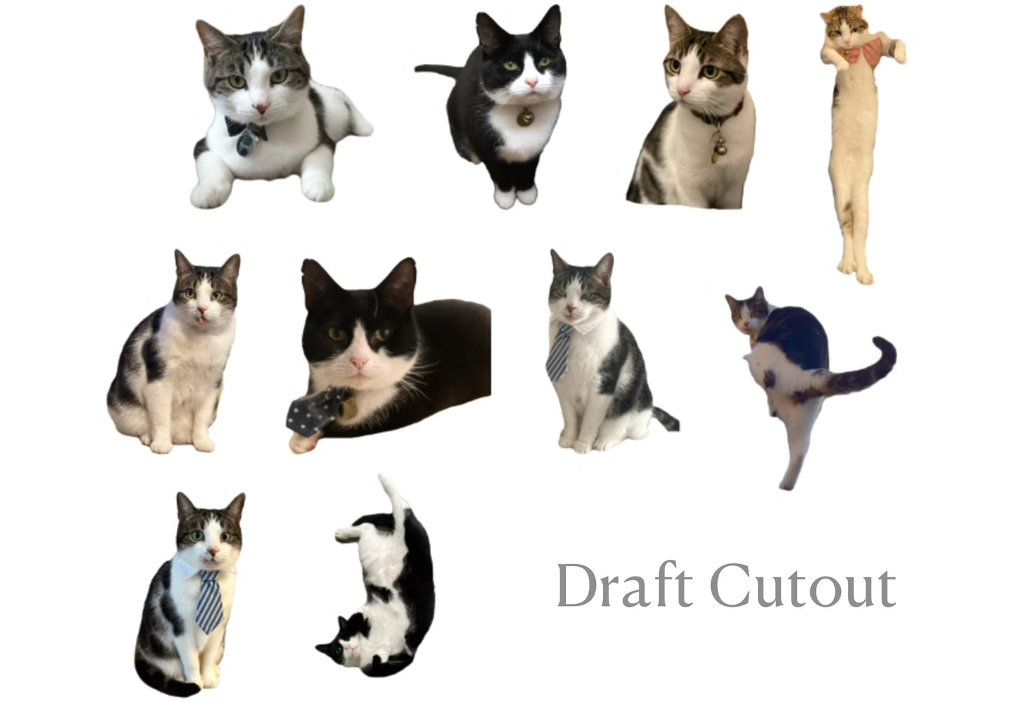 Custom Stickers, Custom Irregular-Shaped Stickers, DIY Stickers, Personalised Pet Stickers