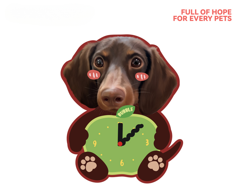 Personalised Acrylic Pet Photo Clock – Custom Cute Wall Clock with Your Cat or Dog’s Face, Perfect Gift for Pet Lovers
