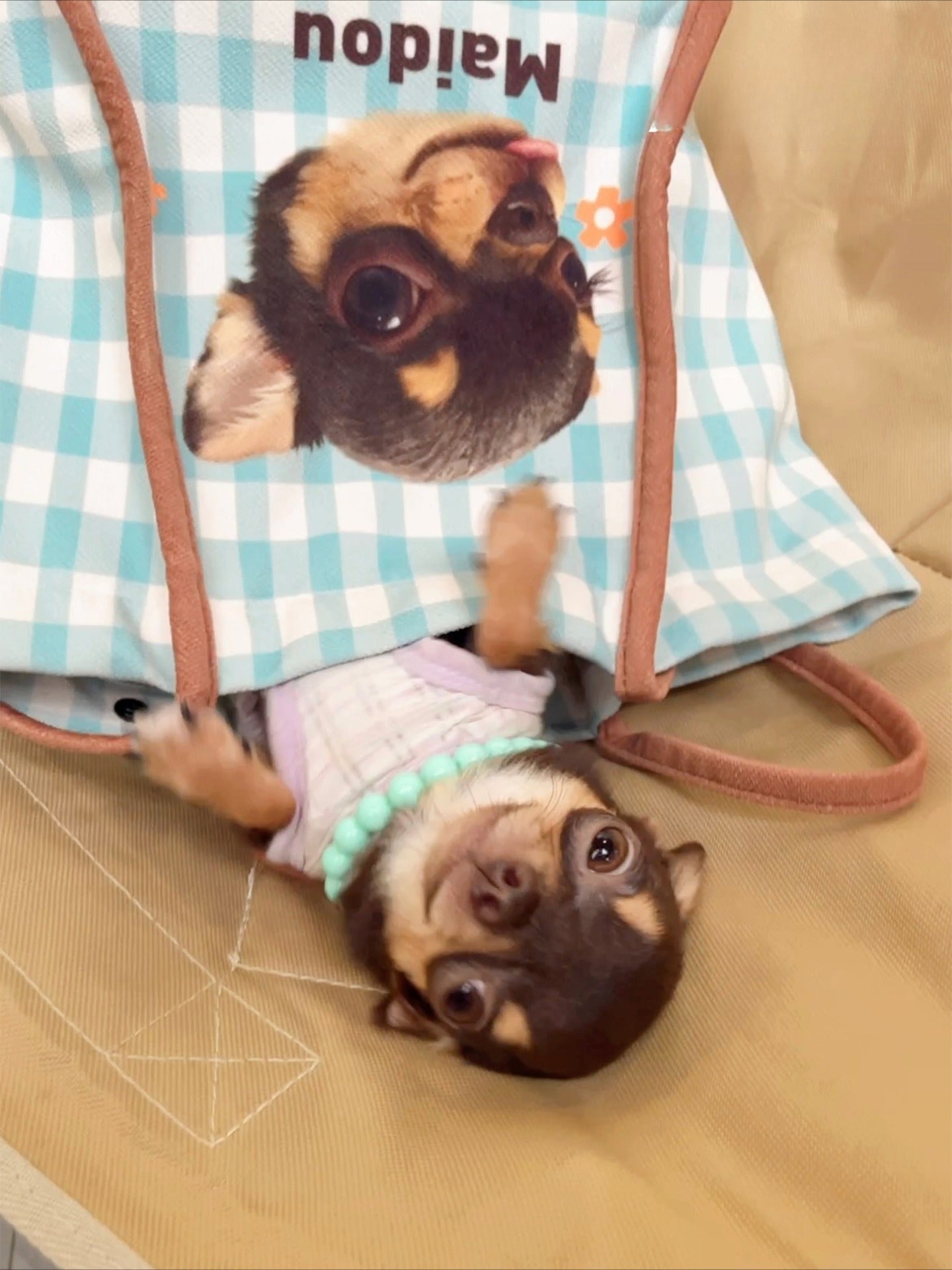 Custom Pet Shoulder Tote – Personalised Cat or Dog Illustration Bag, Creative Birthday Gift for Animal Lovers