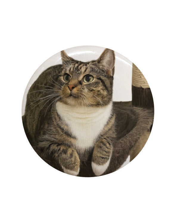 Custom Pet Badge – Personalised Round Pin Button with Cute Pet Design, Ideal for Backpacks, Jackets, or Gifts for Animal Lovers