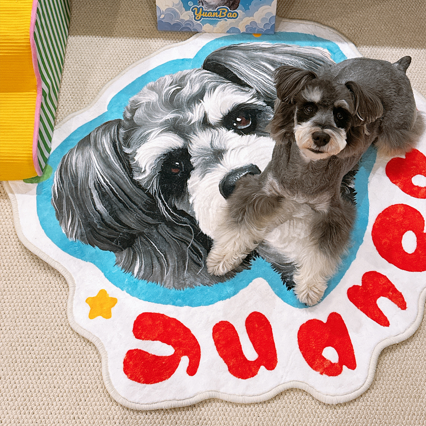 Personalised Pet Portrait Floor Mat – Soft Cartoon-Style Rug with Your Pet’s Face
