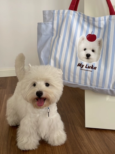Custom Pet Tote Bag – Large Capacity Canvas Shoulder Bag with Dog Illustration, Perfect for Daily Use, Commuting, and Pet Lovers