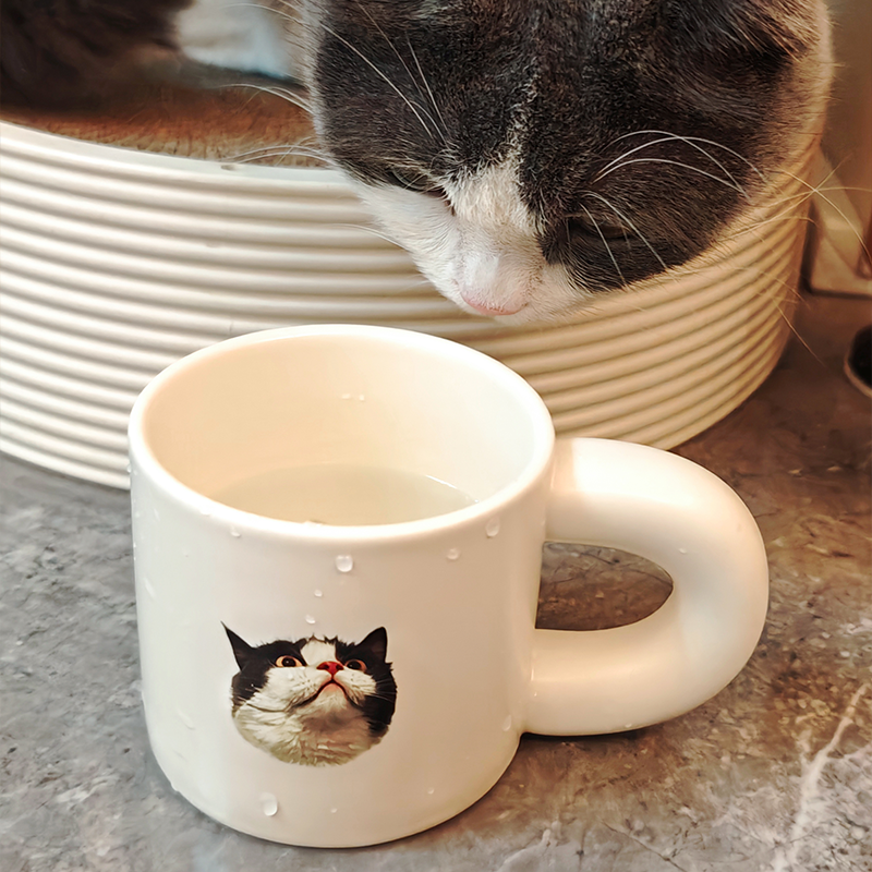 Personalised Pet Illustration Mug – Cute Custom Ceramic Cup with Dog, Cat, or Small Animal Face and Text – Great for Coffee, Tea or Cocoa