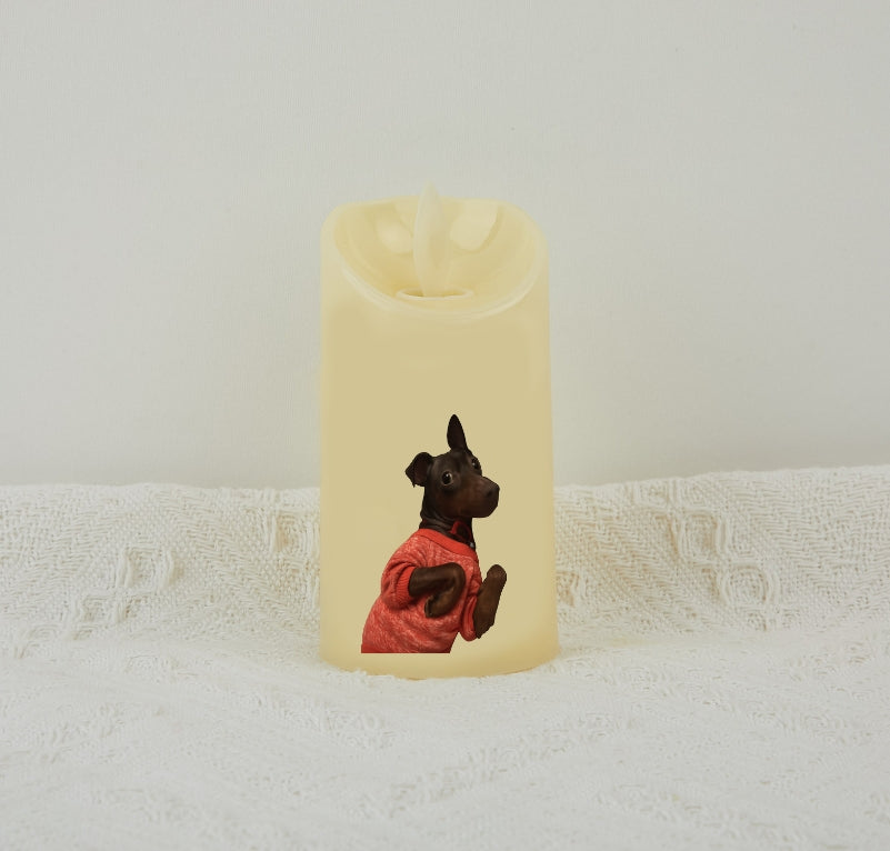 Custom Pet Candle – Personalised Decorative Candle with own Design, Unique Gift for Pet Lovers and Pet Memorials,Great Gift for Pet Parents, Birthdays, or Home Décor