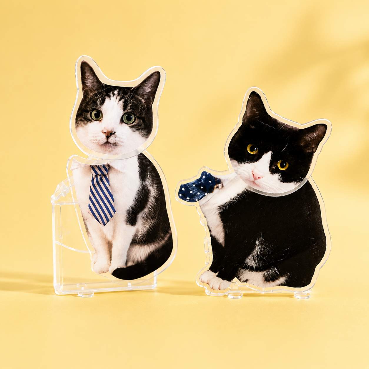 Custom Acrylic Pet Photo Bobblehead - 0