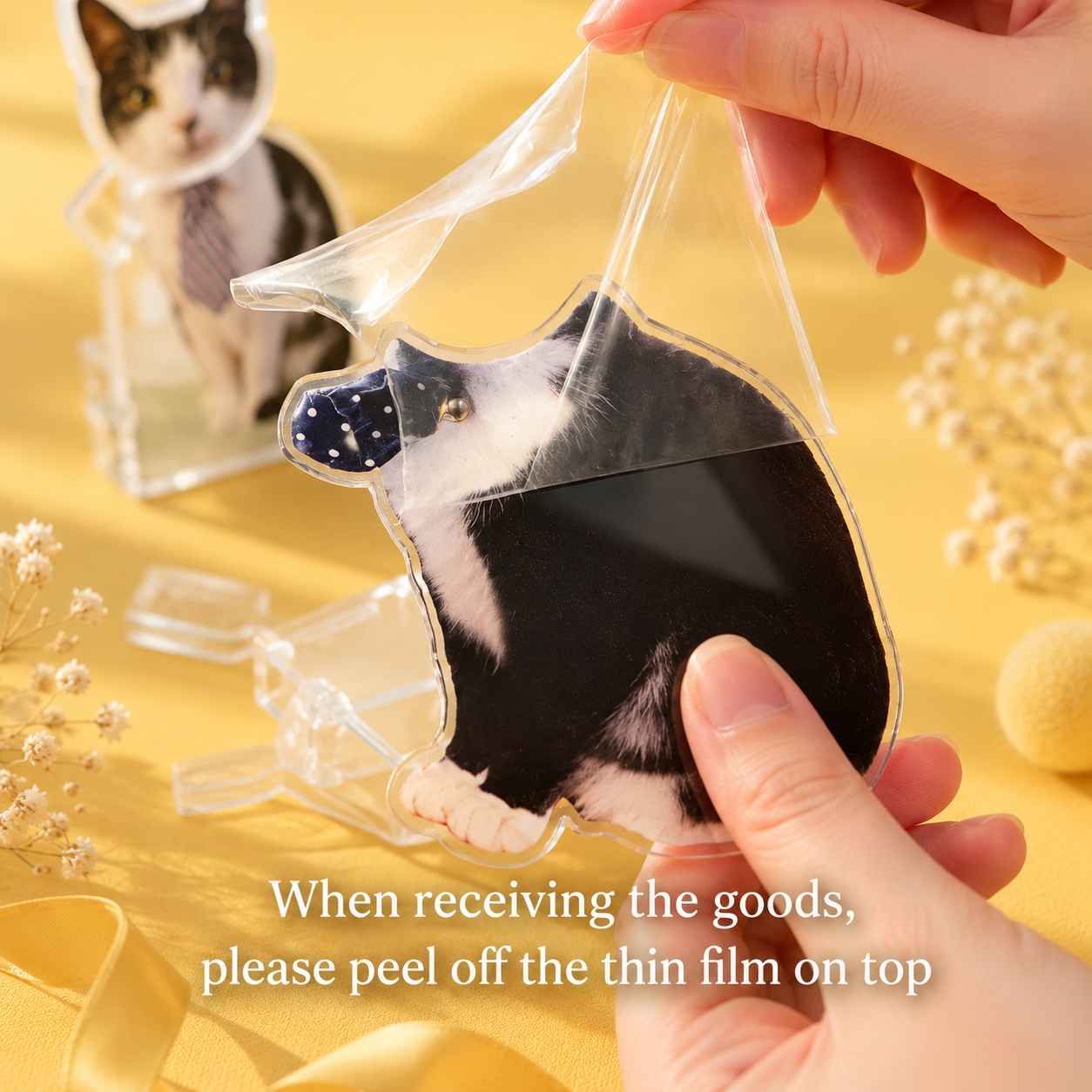 Custom Acrylic Pet Photo Bobblehead - 0