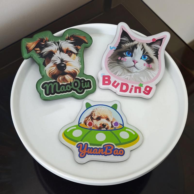 Three pet-themed coasters with names on a white plate