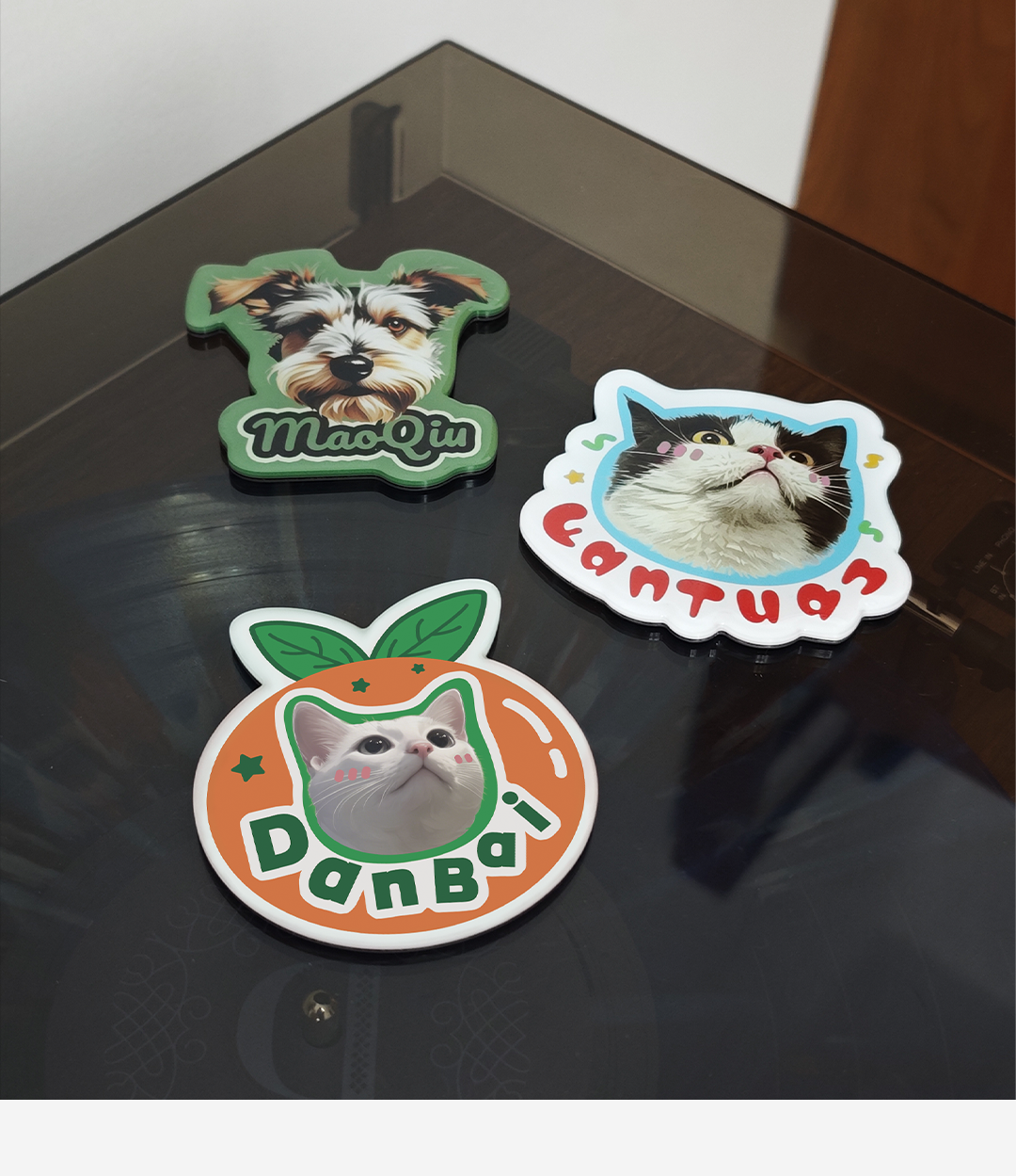 Three pet-themed coasters with different animals on a reflective surface.